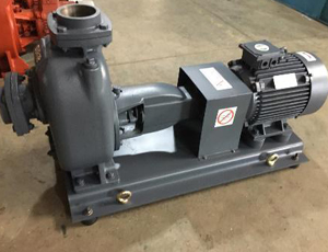 Bare Shaft Pumps