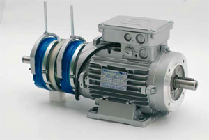 Electric Brake Motors Supplier