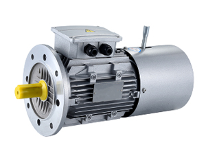 Electric Motor supplier