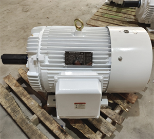 IEC Aluminium Body Motors for Pumps