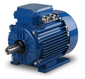 IEC Aluminium Body Motors