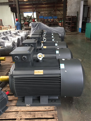 Three Phase Electric Motor Supplier with Strong Build Quality